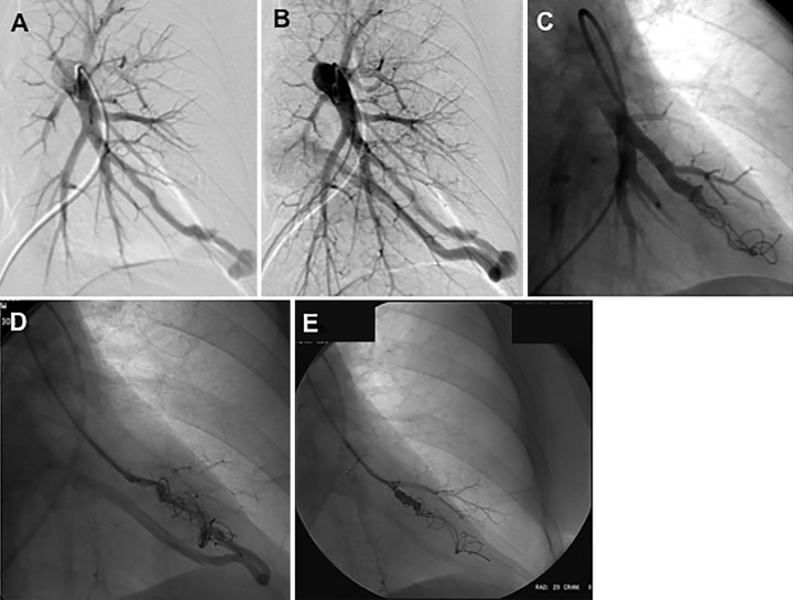 Figure 2: