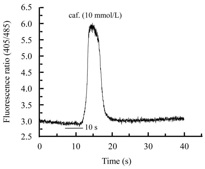 Fig. 2