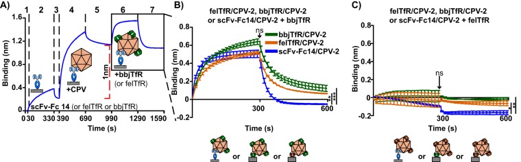 FIG 6