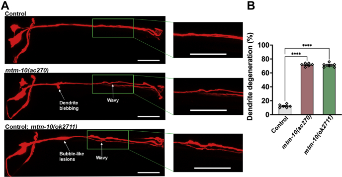 Figure 2