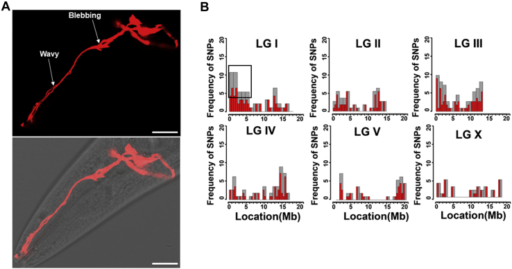 Figure 1