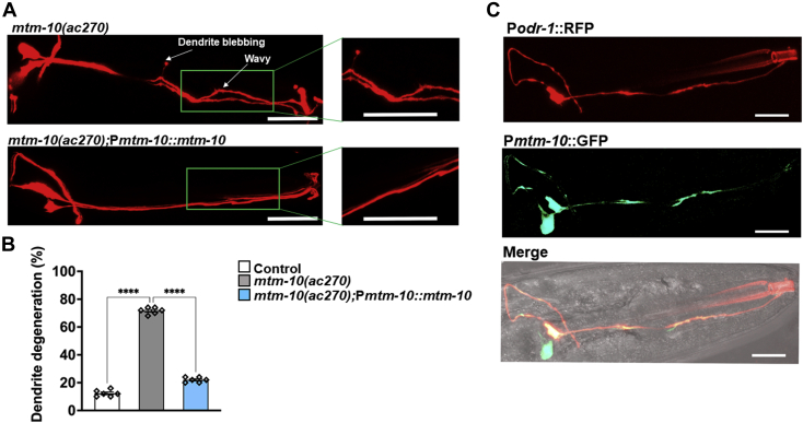 Figure 3