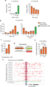 Figure 2 |