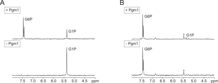 Figure 5—figure supplement 5.