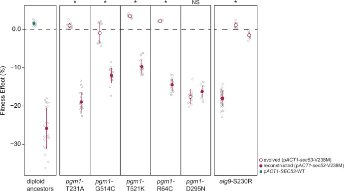 Figure 3—figure supplement 1.