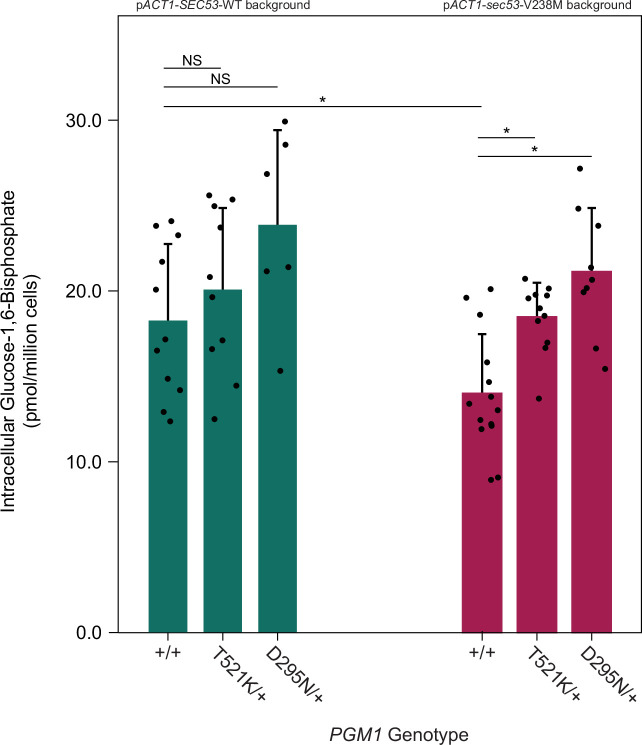 Figure 5—figure supplement 4.