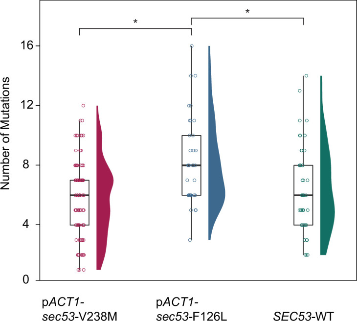 Figure 2—figure supplement 1.