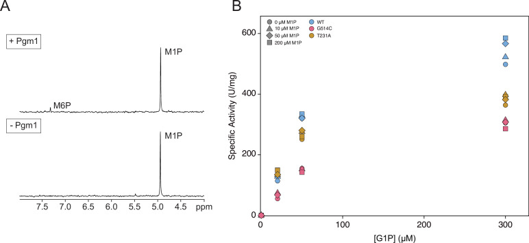 Figure 5—figure supplement 3.