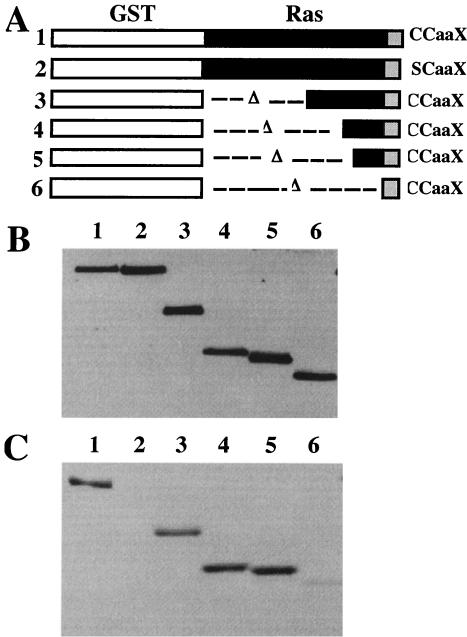 FIG. 5.