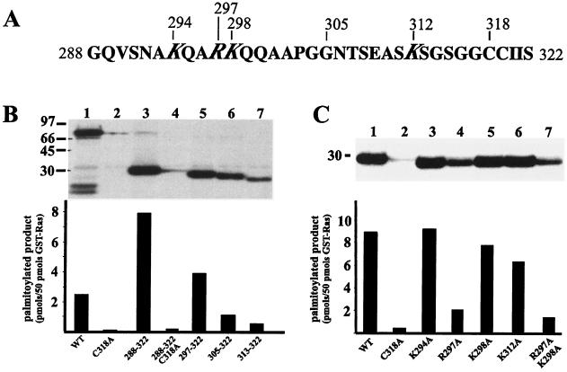 FIG. 6.