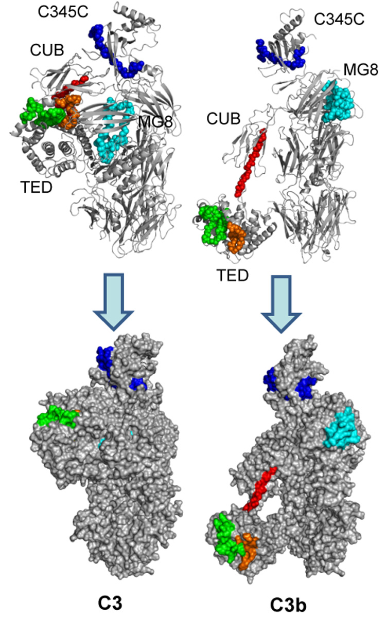 Fig. 3