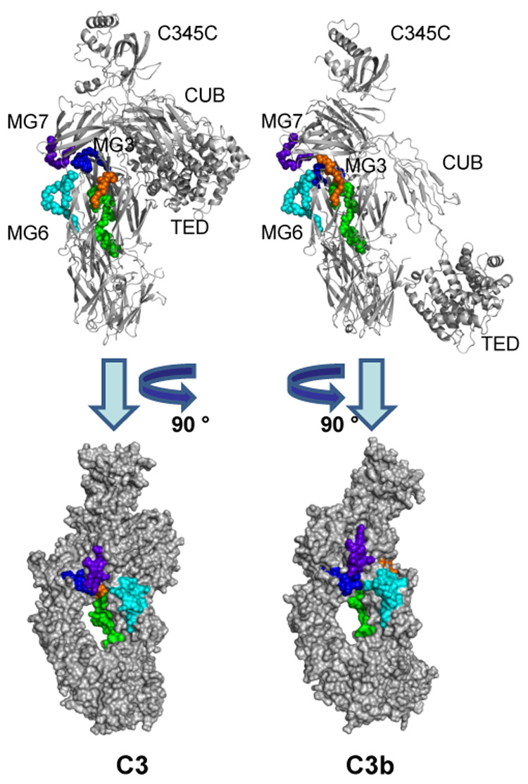 Fig. 4