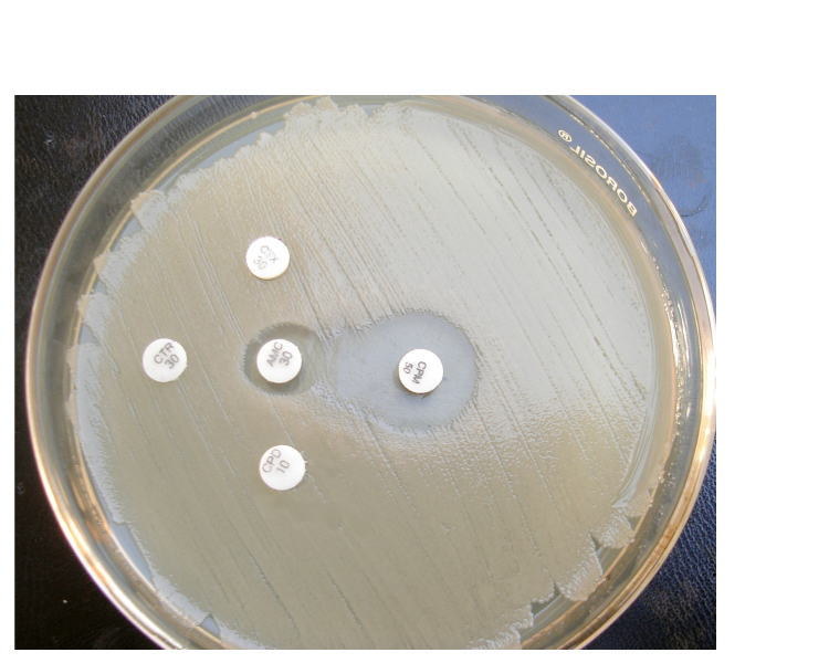 [Table/Fig-2]: