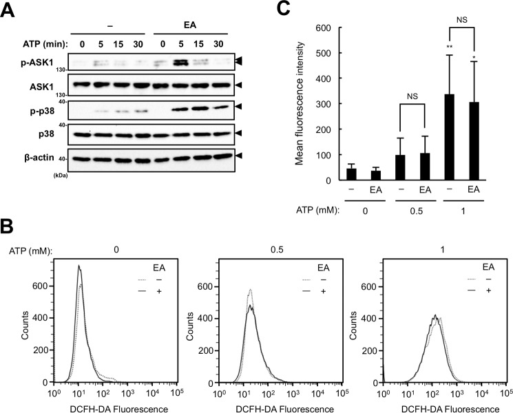 Figure 5.