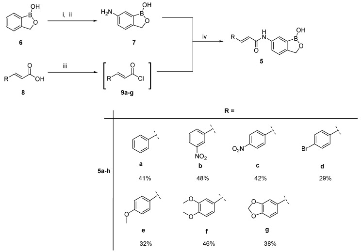 Scheme 1