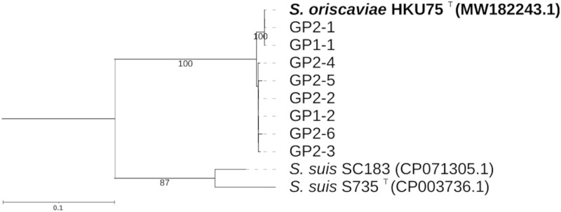 FIG 2