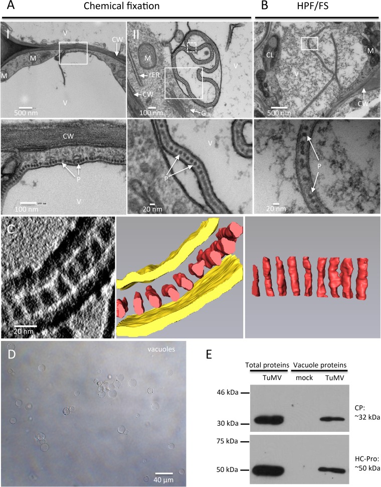 FIG 9