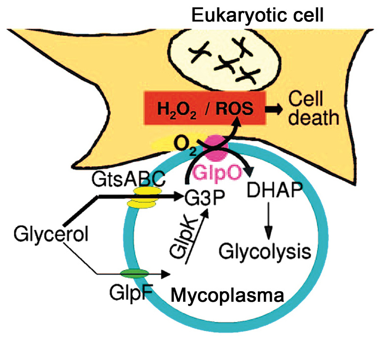 Figure 3.