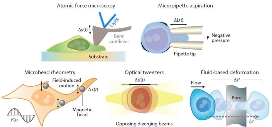 Figure 3.