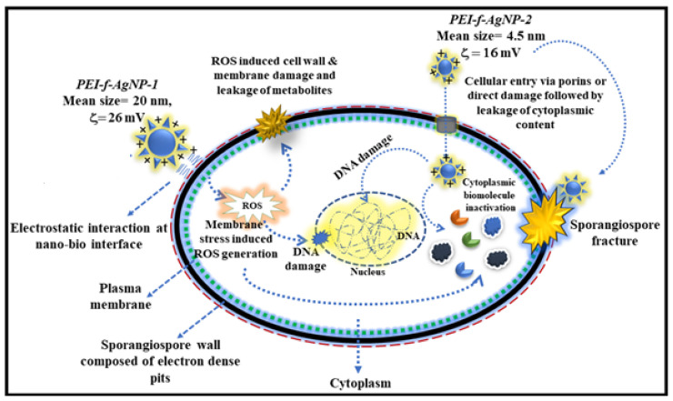 Figure 10