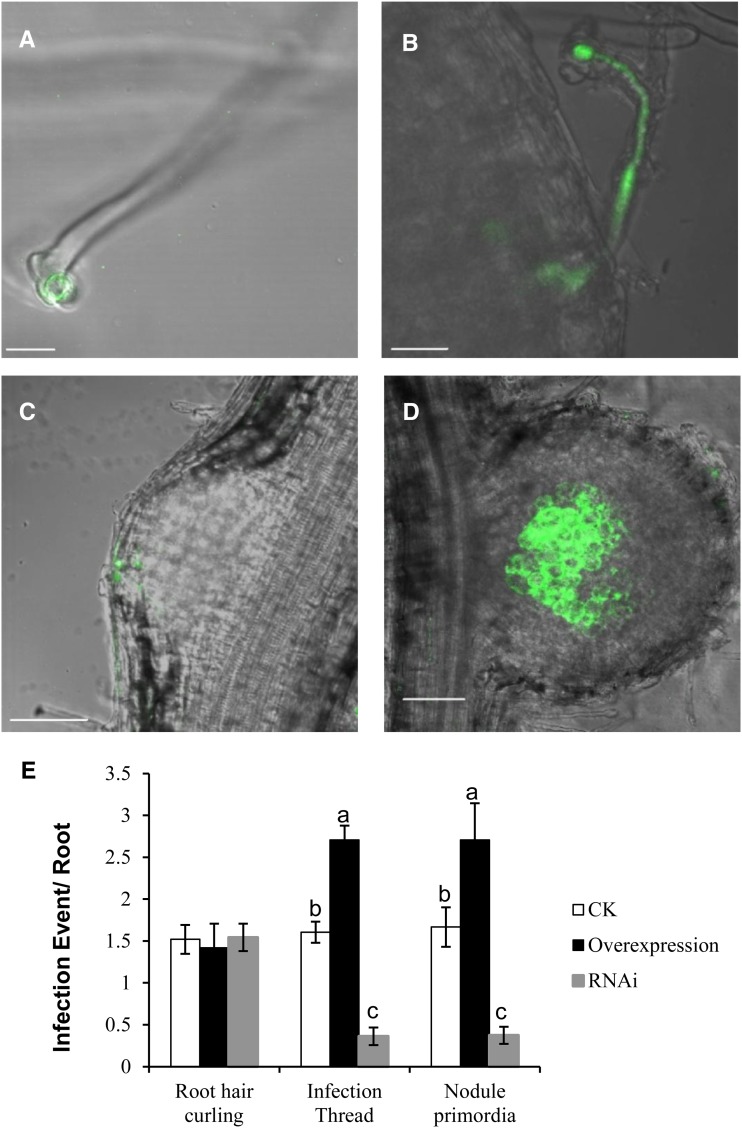 Figure 9.