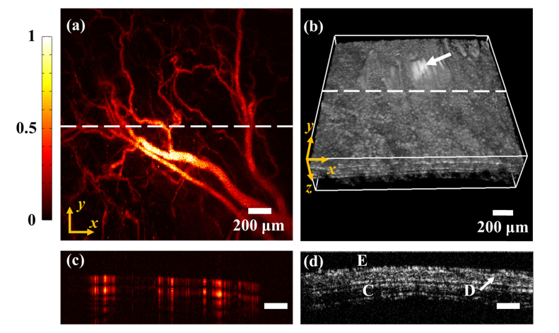 Fig. 4