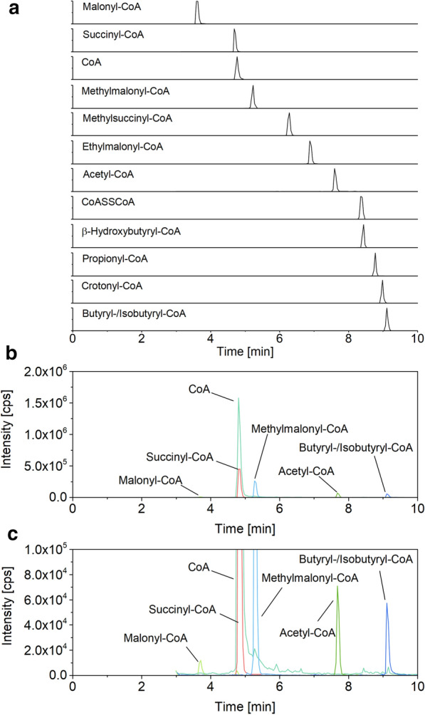 Fig. 1