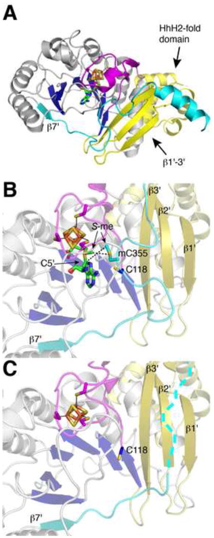 Figure 11
