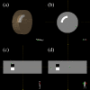 Fig 2