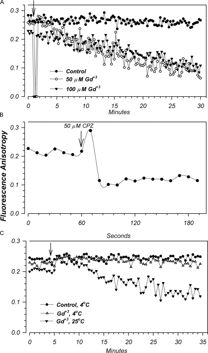 Figure 15. 