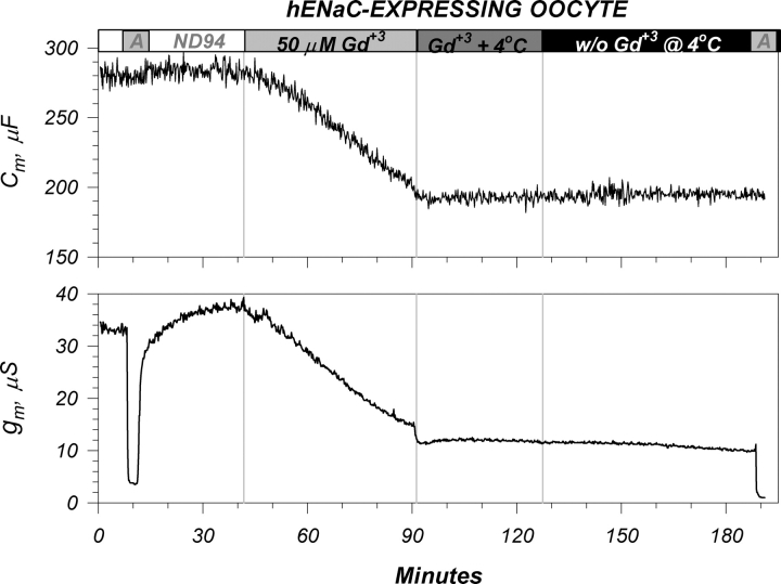 Figure 13. 