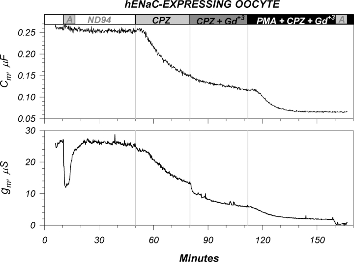 Figure 11. 