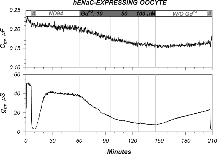 Figure 9. 