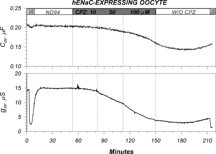 Figure 10. 