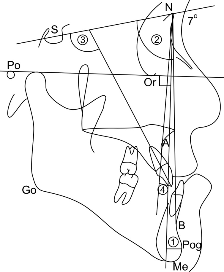 Fig. 4.