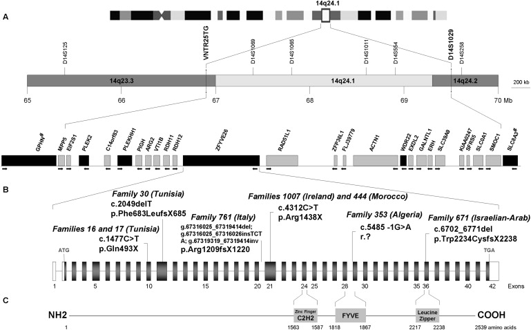 Figure 1