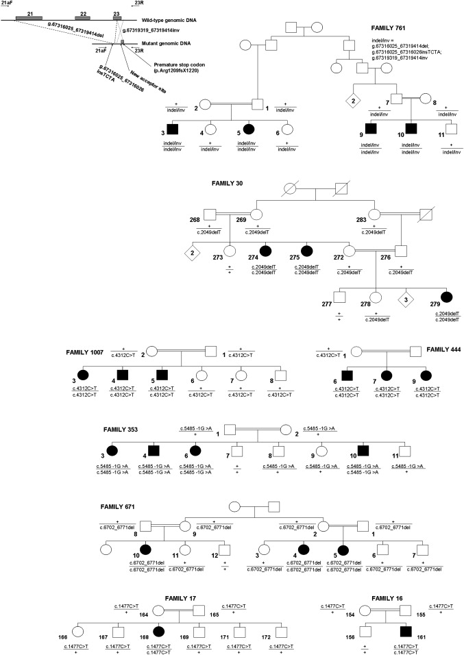 Figure 2