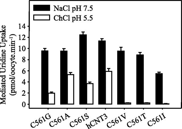 FIGURE 10.