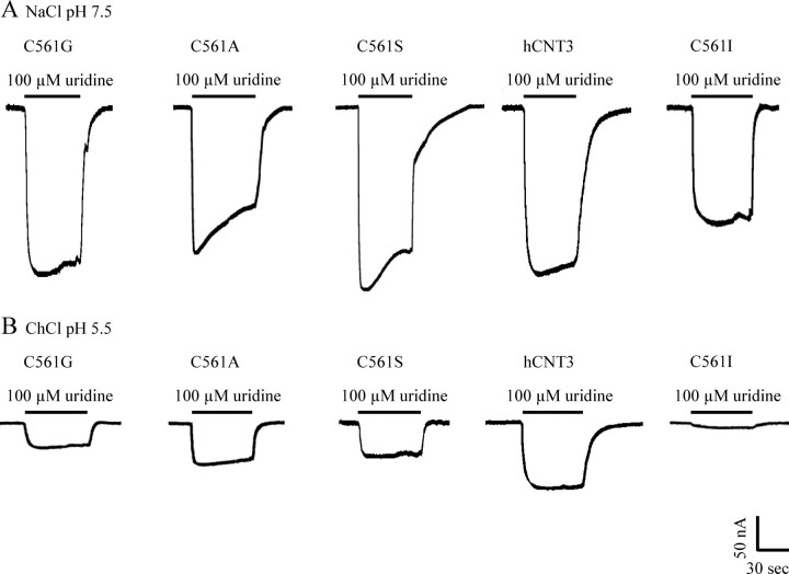 FIGURE 11.