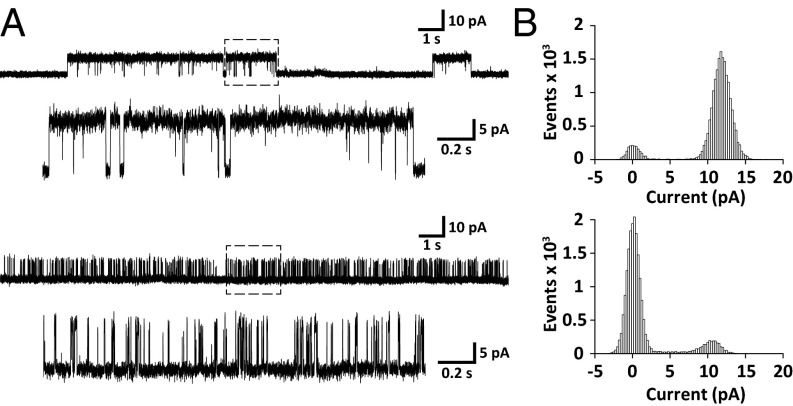 Fig. 5.