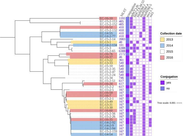 FIG 2