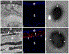 Fig. 8.