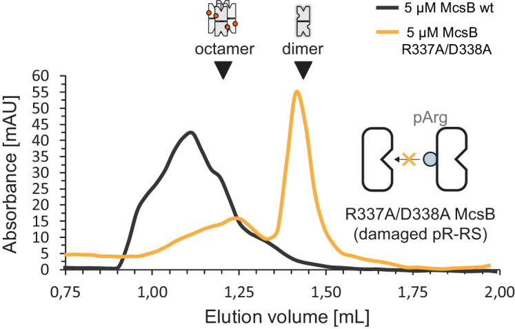 Figure 3—figure supplement 2.