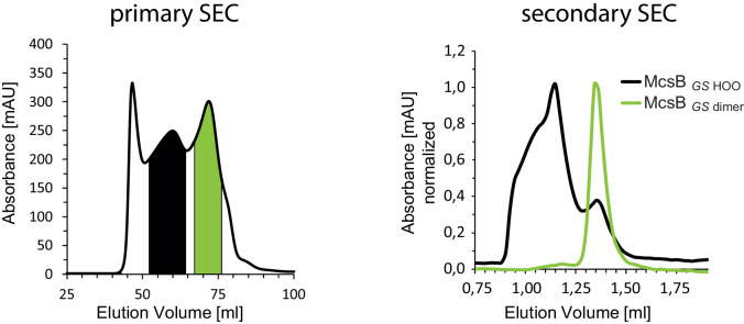 Figure 1—figure supplement 2.