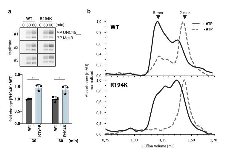 Figure 6—figure supplement 1.