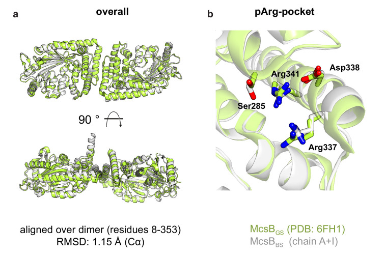 Figure 2—figure supplement 1.