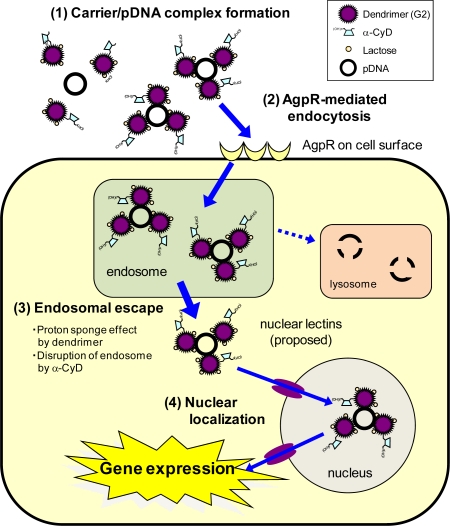 Figure 5.