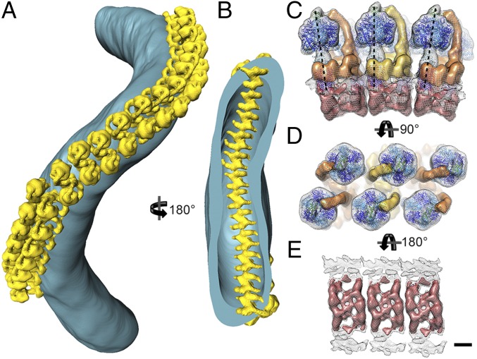 Fig. 3.