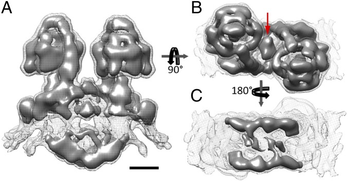 Fig. 1.