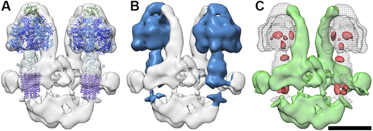 Fig. S3.